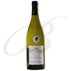 Coteaux du Giennois, Les Charmes, Domaine Catherine et Michel Langlois (Loire), 2020 - Vin Blanc