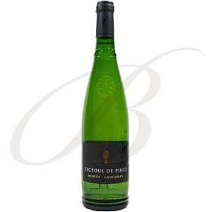 Picpoul de Pinet, Domaine Morin Langaran (Languedoc), 2016 - Vin Blanc