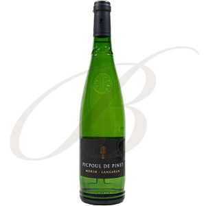 Picpoul de Pinet, Domaine Morin Langaran (Languedoc), 2020 - Vin Blanc