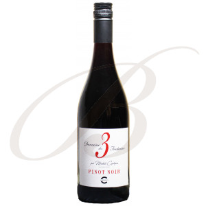 Pinot Noir, Domaine des 3 Fontaines (Languedoc), 2021 - Vin Rouge