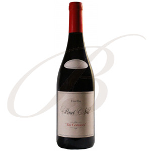 Pinot Noir, En Coteaux, by Jeff Carrel, Vin de Pays d’Oc (Languedoc), 2020 - Vin Rouge