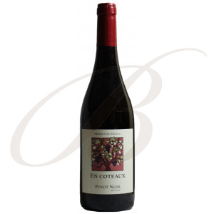 Pinot Noir, En Coteaux, by Jeff Carrel, Vin de Pays d’Oc (Languedoc), 2021 - Vin Rouge