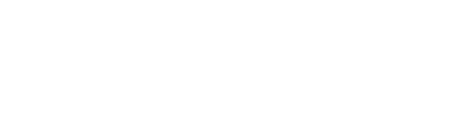 Boursot
